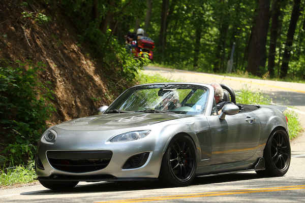 Andrew's Black Mamba