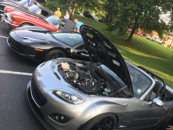 Andrew's Black Mamba