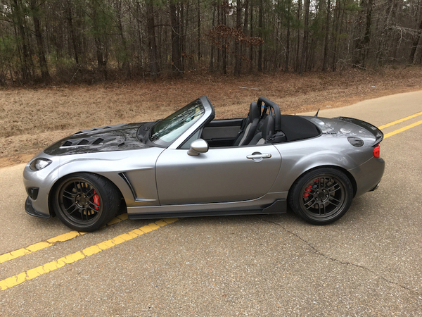 Andrew's Black Mamba