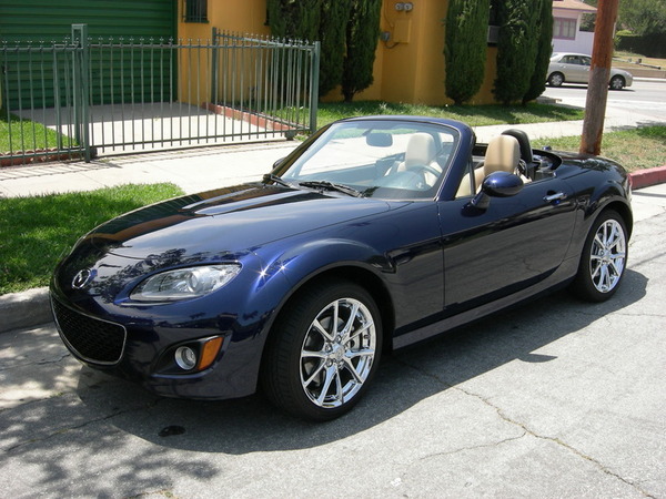 Luis's TrueBlue