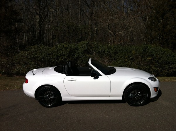 Stuart's Special Edition Panda (White/Black)