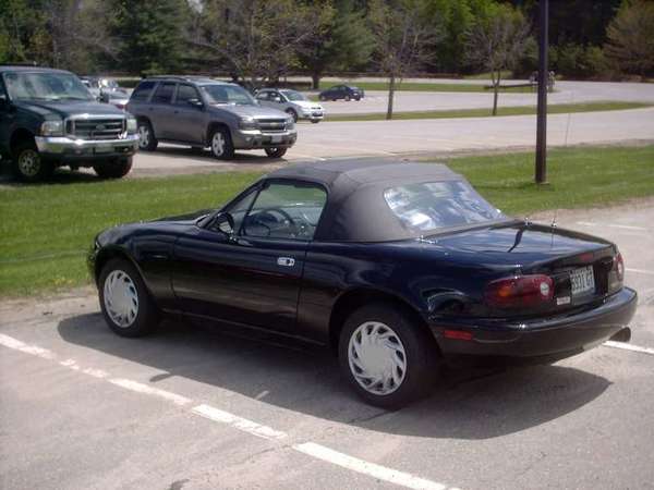 Bill's Black Beauty
