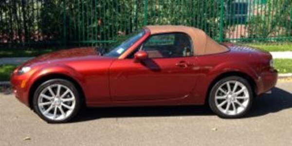 Arthur's Copper Red 2007 NC