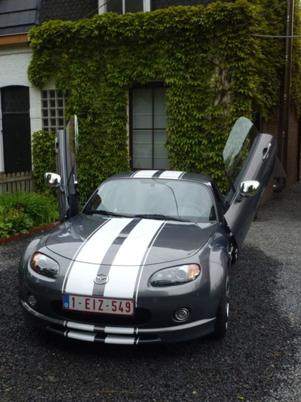 peter's stripes