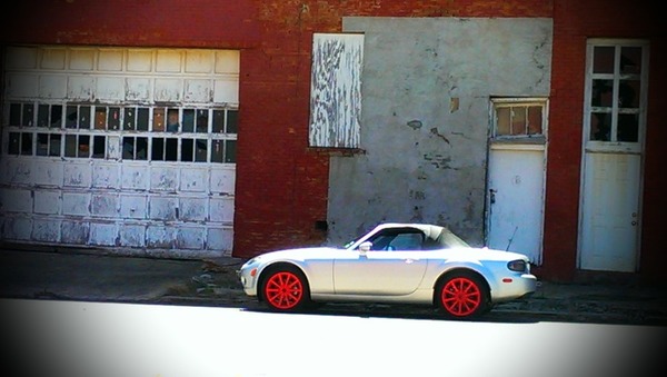 david's Carr