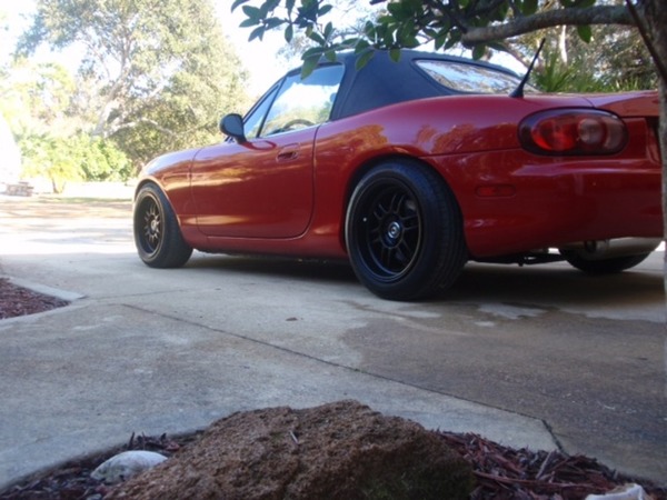 Matthew's Daily