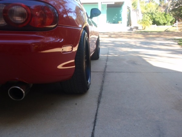 Matthew's Daily