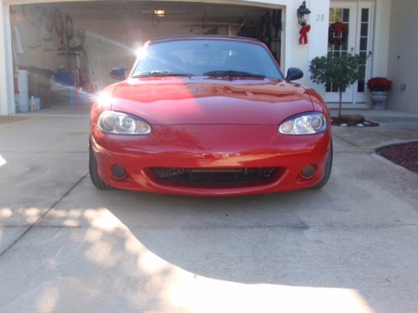 Matthew's Daily