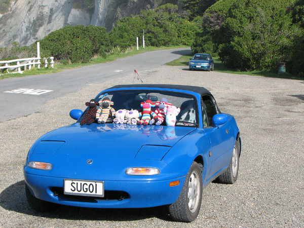 NZ1954089's LIttle Blue Car