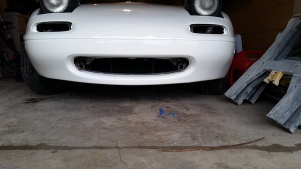 Isaac's white rat