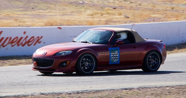 Mikalangelo's Copper Red NC