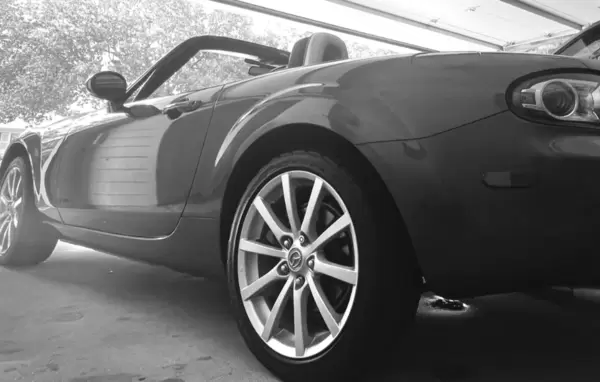 DAVID's Barkley's Roadster 