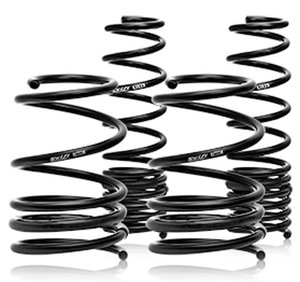 Swift Spec-R ND Lowering Springs