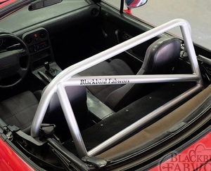 Blackbird Fabworx NA Single Diagonal Roll Bar