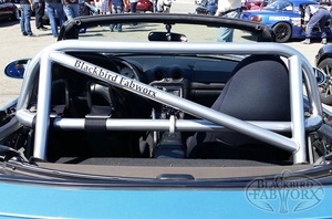 Blackbird Fabworx NB Single Diagonal Roll Bar