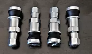 RoadsterSport SILVER Anodized Aluminum Valve Stems - Set of 4