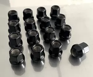 RoadsterSport Steel Lug Nut - Open End, Black, Set of 16