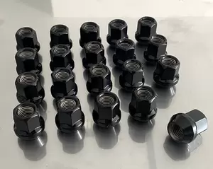 RoadsterSport Steel Lug Nut - Open End, Black, Set of 20