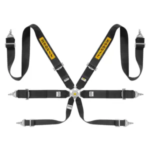 Sabelt GT/Rally 3" 6-Point FIA Racing Harness