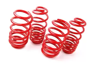 Ford Maverick SUPERSPORT Lowering Springs For AWD By Good-Win Racing & Progress Technology