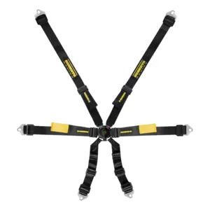 Schroth FIA Enduro 2x2 Racing Harness 6-Point Racing Harness