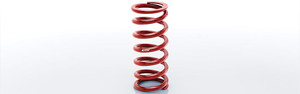 Ground Control/Eibach 400 pound Spring!