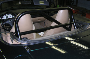 Hard Dog ACE Roll Bar