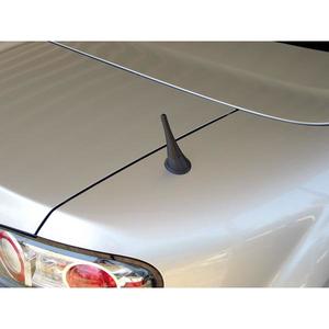 Stubby Antenna
